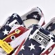 Converse Chuck Taylor All Star Americana Flag Shoe Low Top